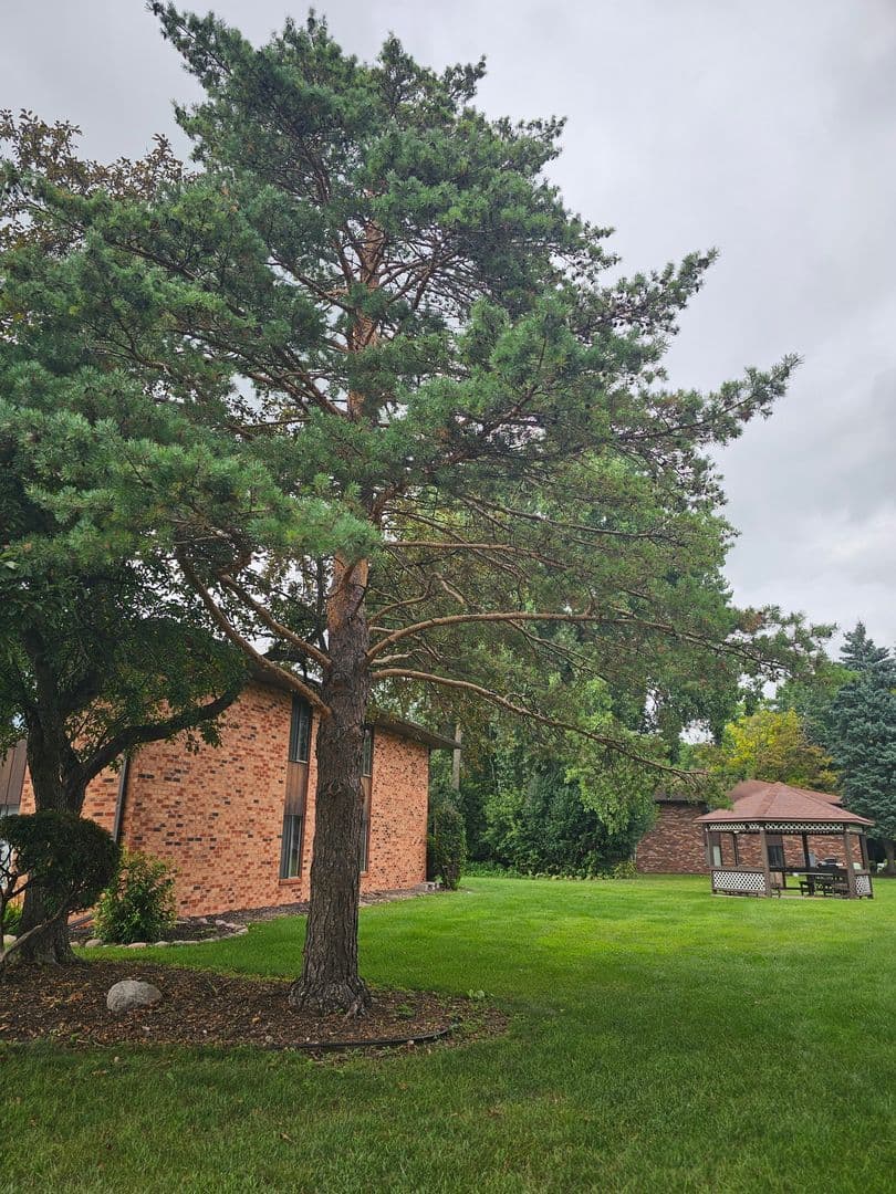 Appleton Apartment: 1201 East Gunn St # 5