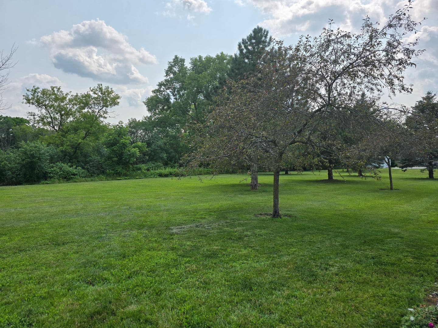 Plymouth Apartment: 225 S River Blvd