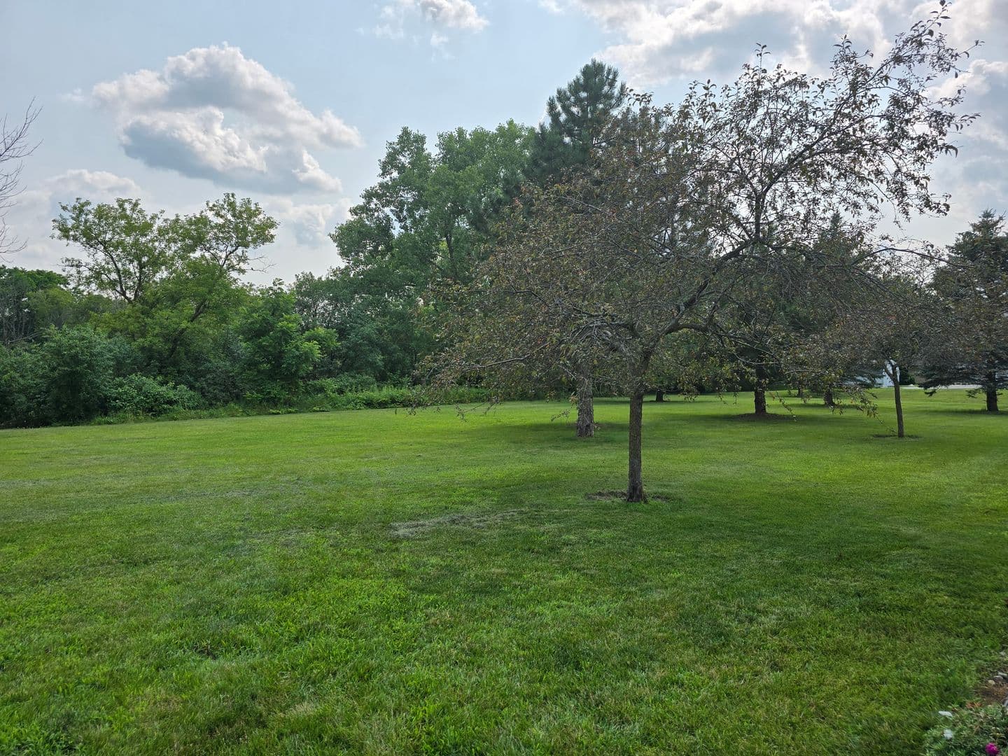 Plymouth Apartment: 225 S River Blvd
