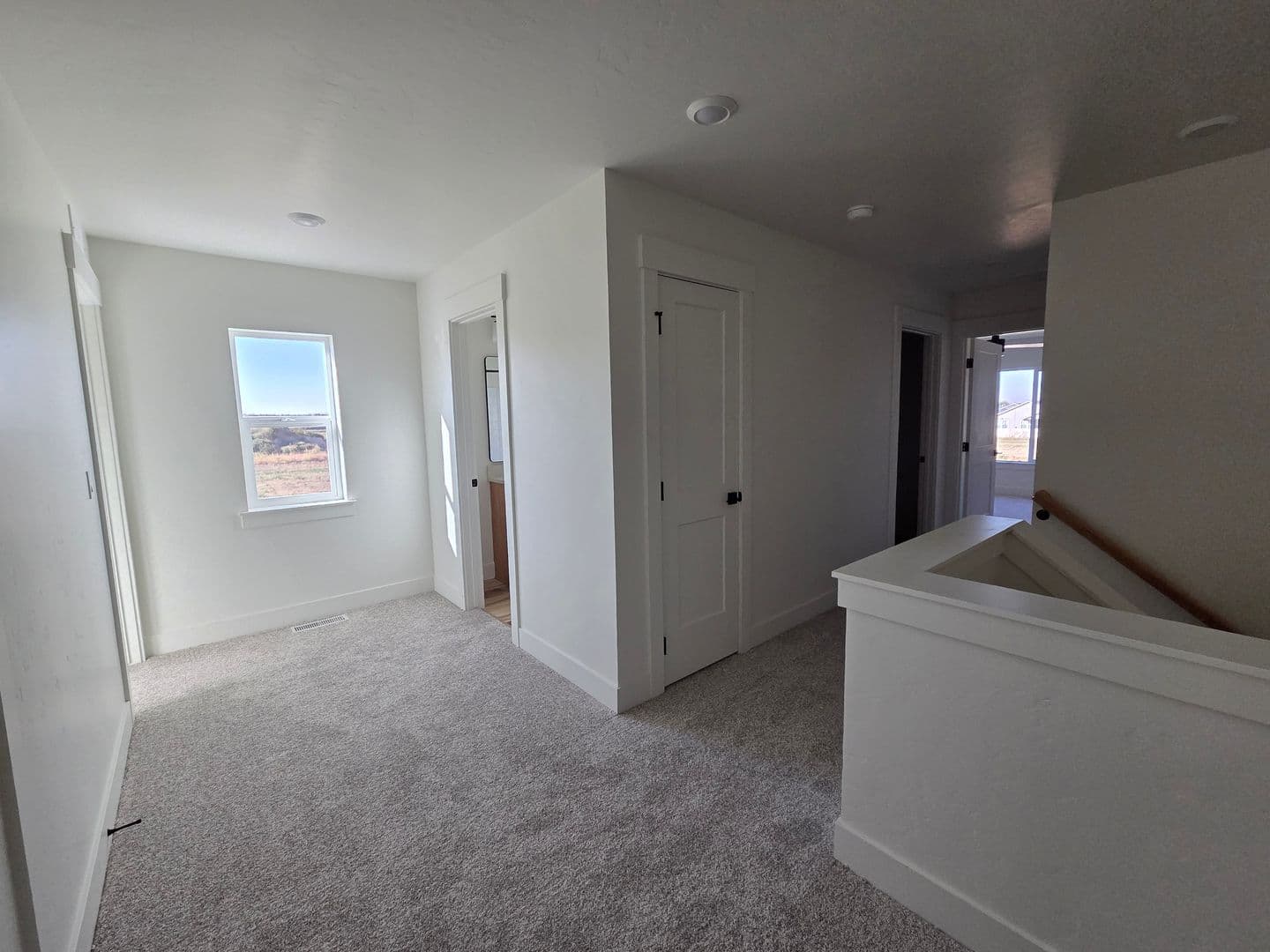 Wilder Apartment: Eden Rose Street