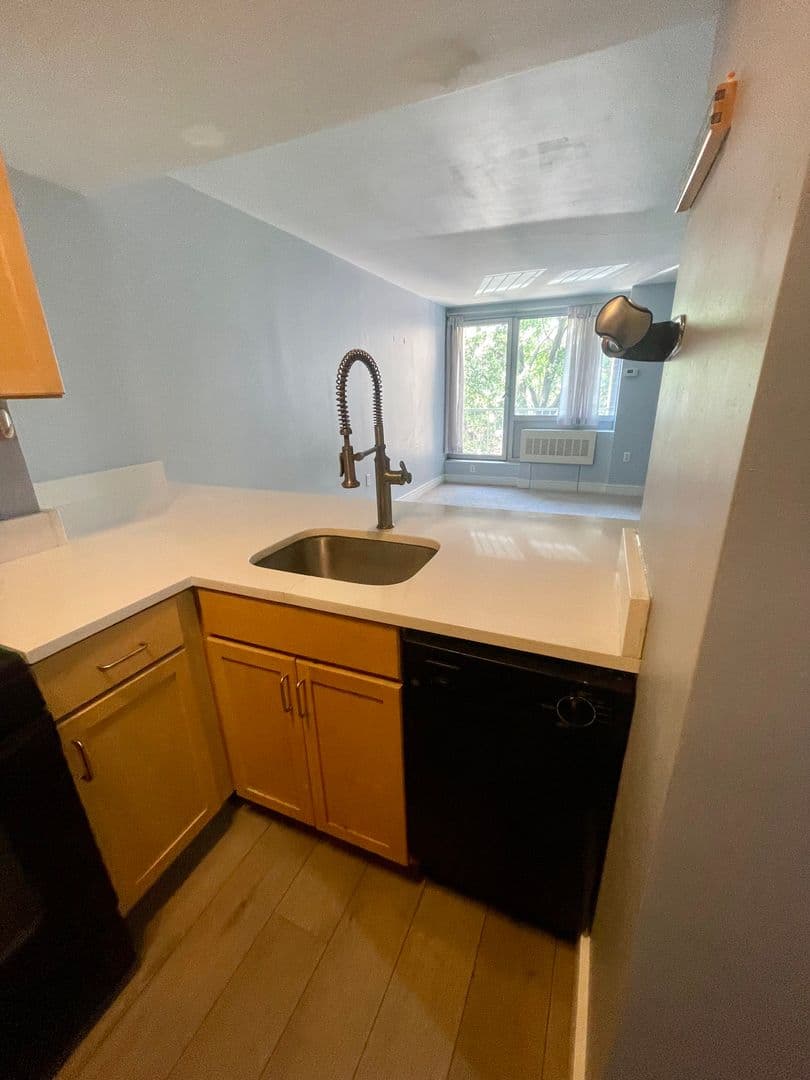 Washington Condo: 800 4th St. SW