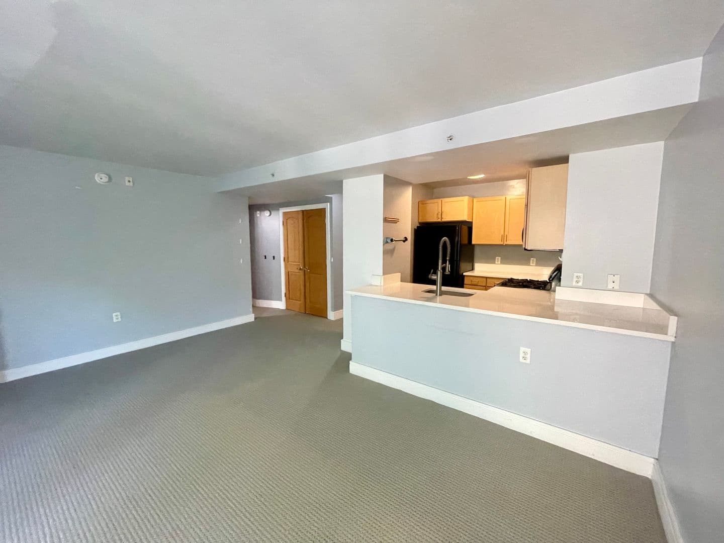 Washington Condo: 800 4th St. SW
