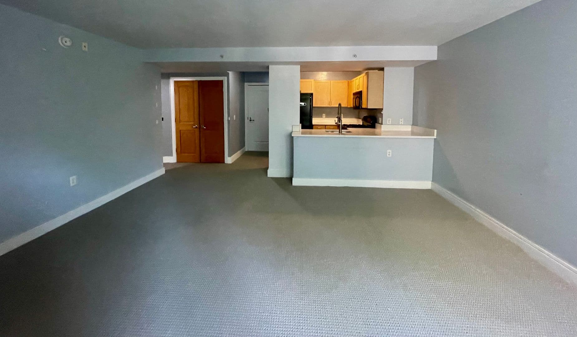 Washington Condo: 800 4th St. SW