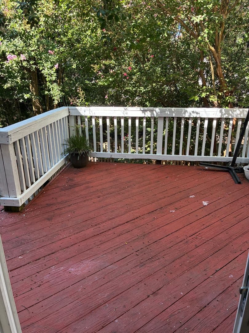 White Plains House: 10164 Tree Frog Place