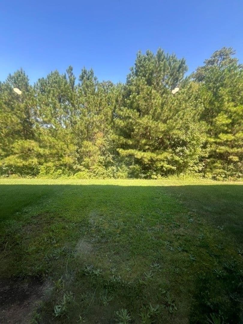 Lexington Park House: 21830 Primrose Willow