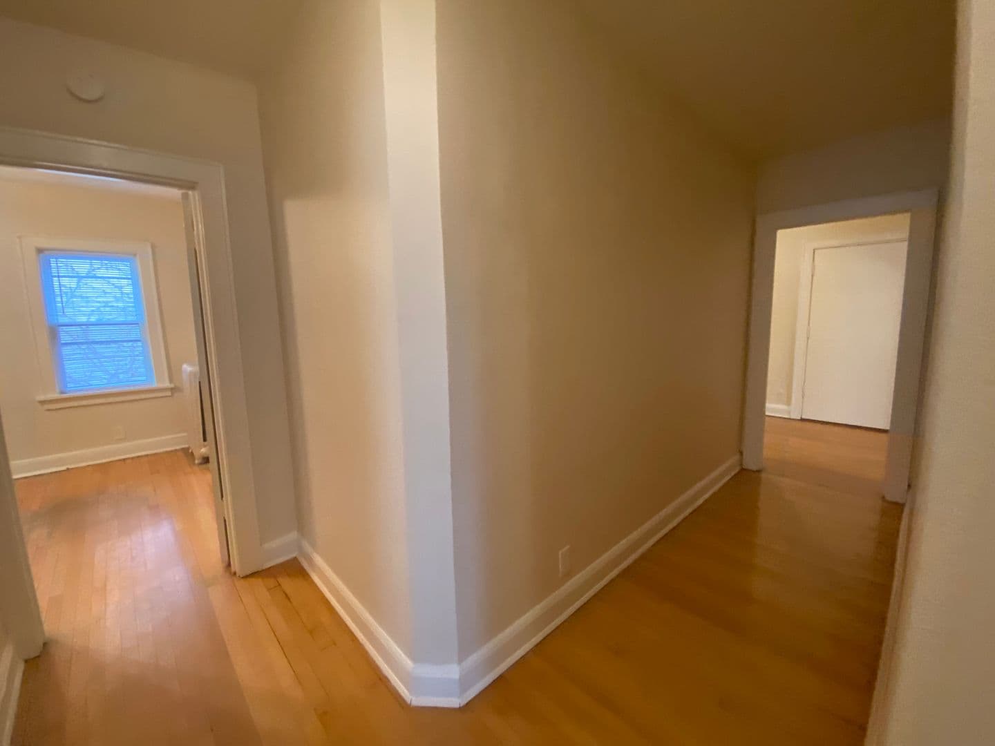 Milwaukee Apartment: 1915 N. Prospect Ave.