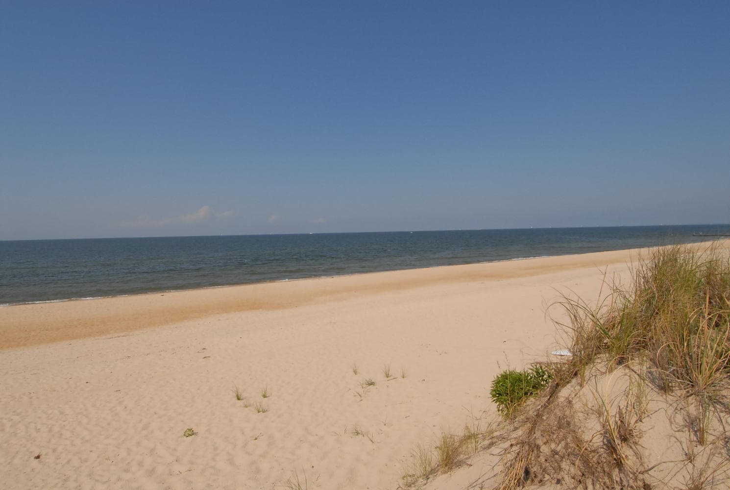 Norfolk Apartment: 2016 E. Ocean View Avenue