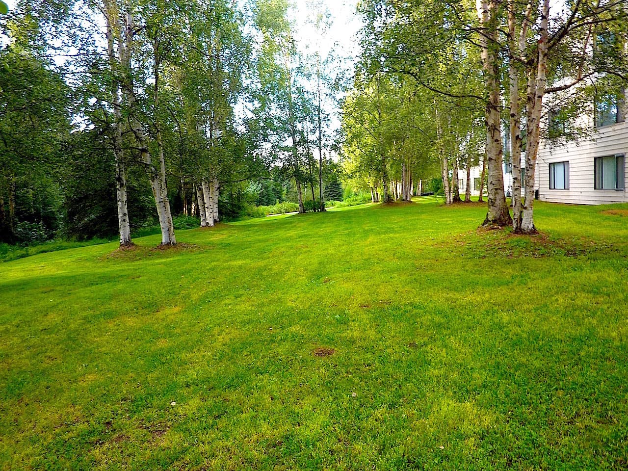 Anchorage Apartment: 577 E. Dowling Rd. #17