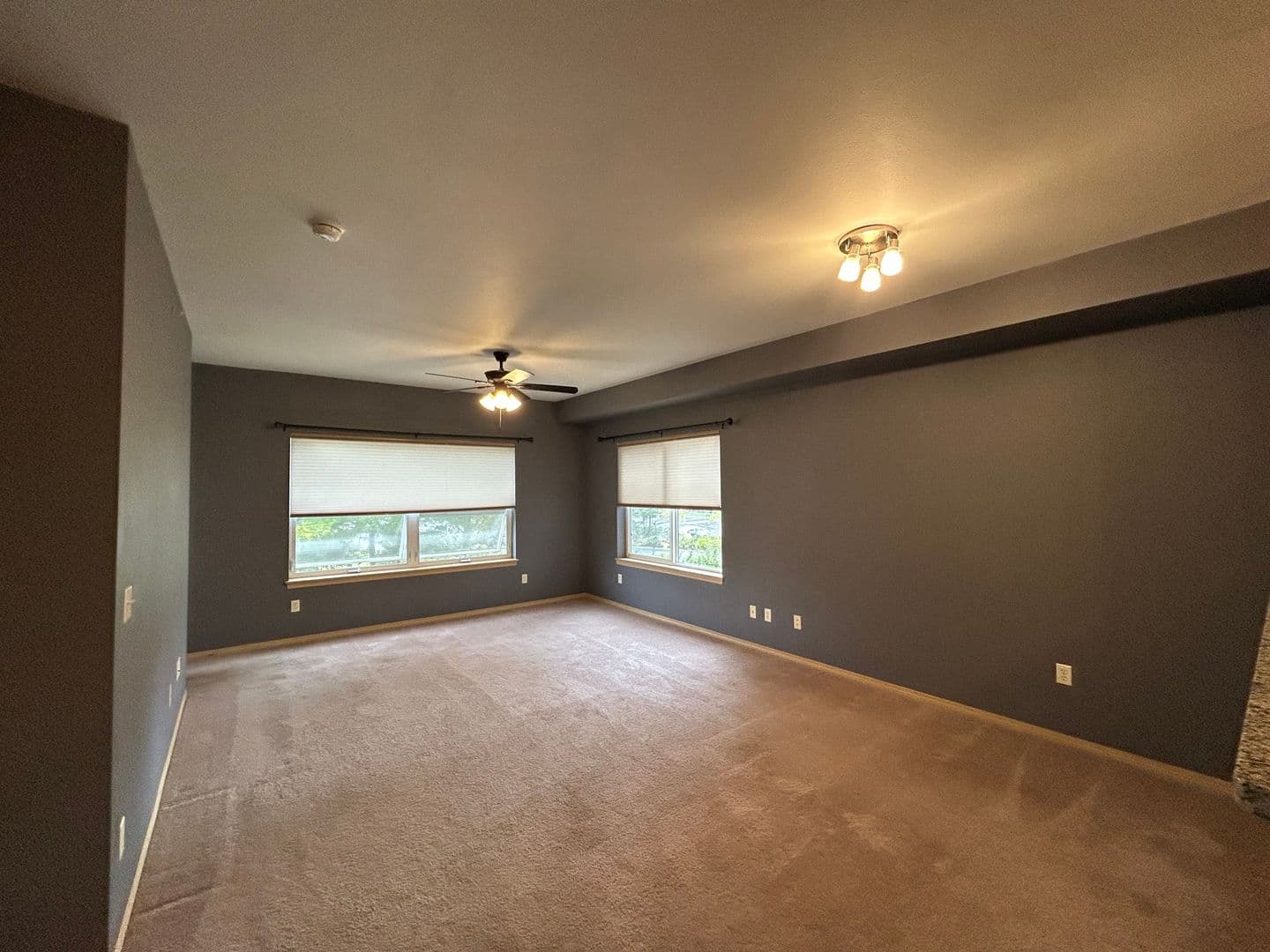 Bellingham Condo: 512 Darby Dr #211