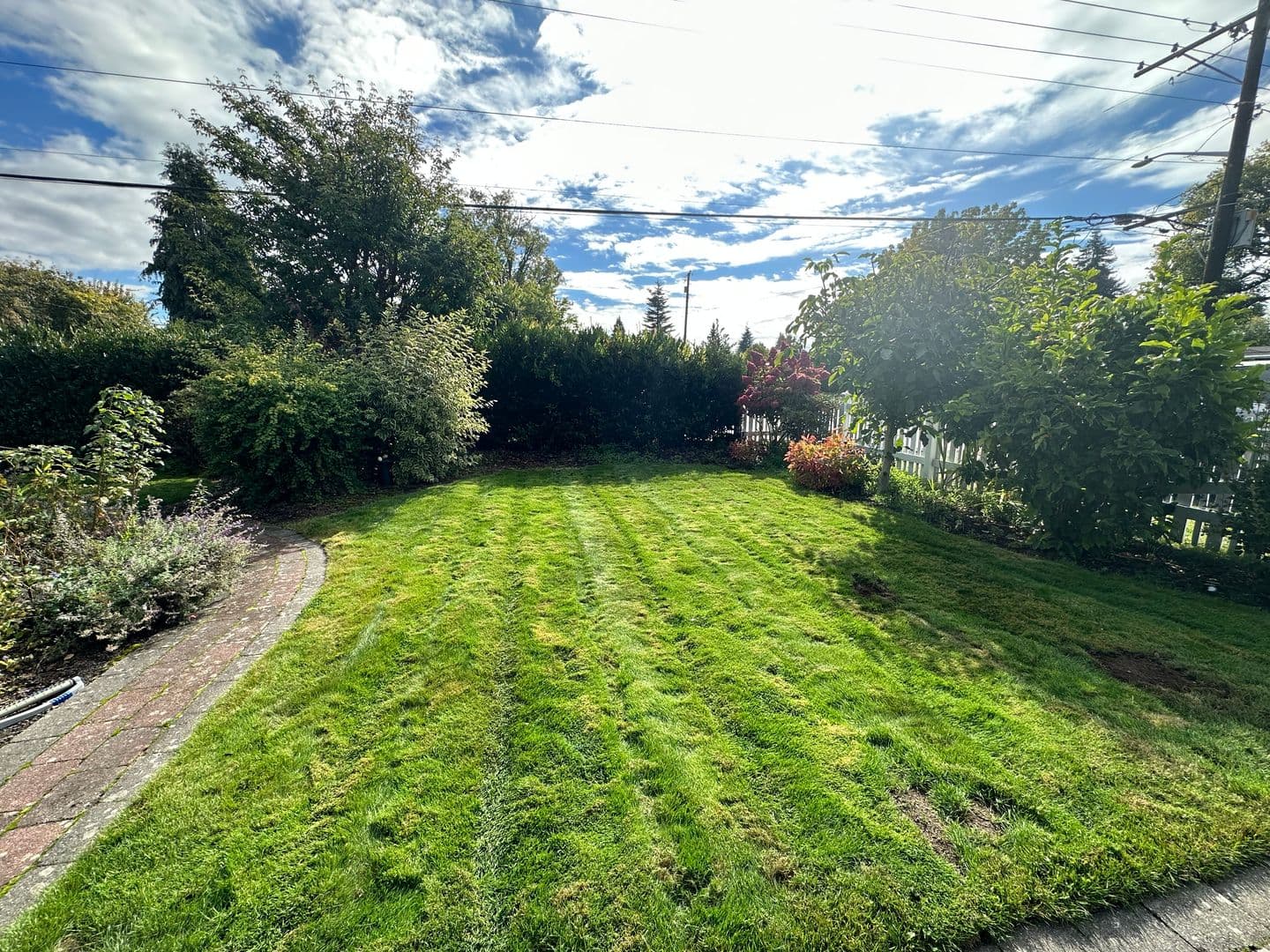 Bellingham House: 2900 Elm St
