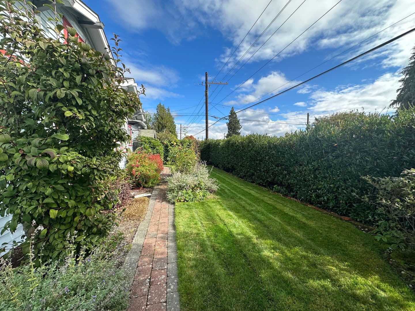 Bellingham House: 2900 Elm St