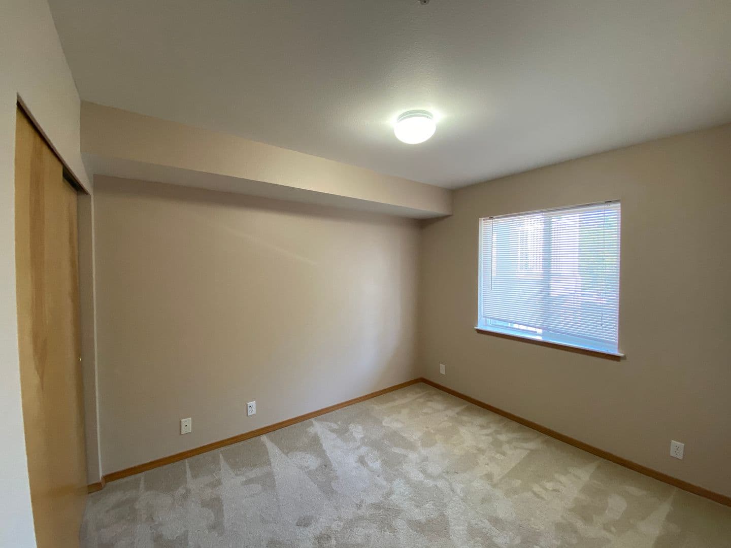 Bellingham Condo: 2715 W. Maplewood Ave #224