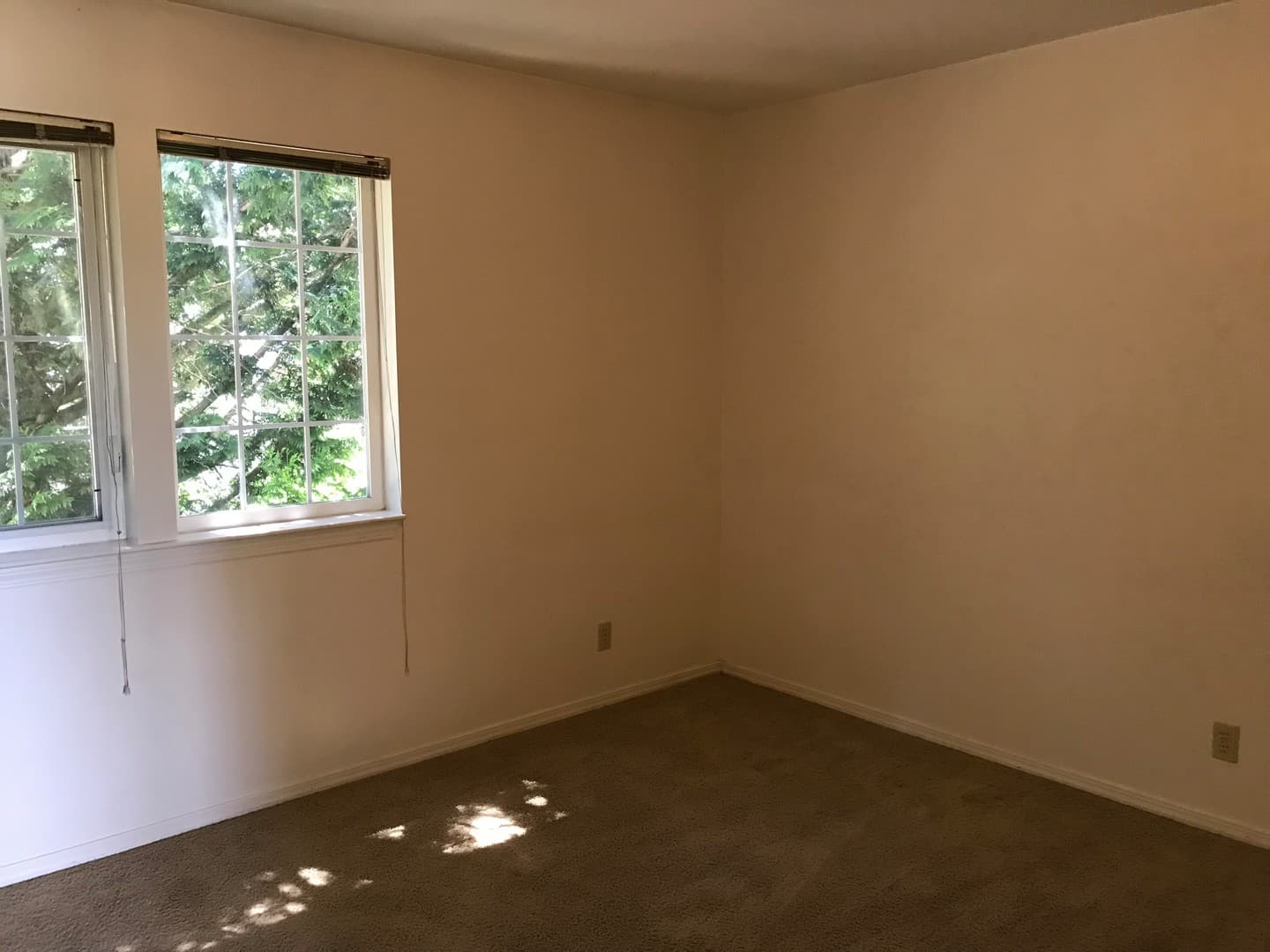 Bellingham Apartment: 911 Billy Frank Jr St