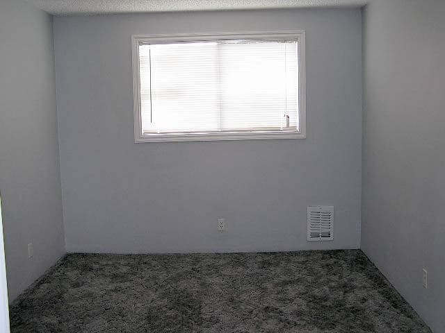 Bellingham Apartment: 1810-1812-1814 Texas St