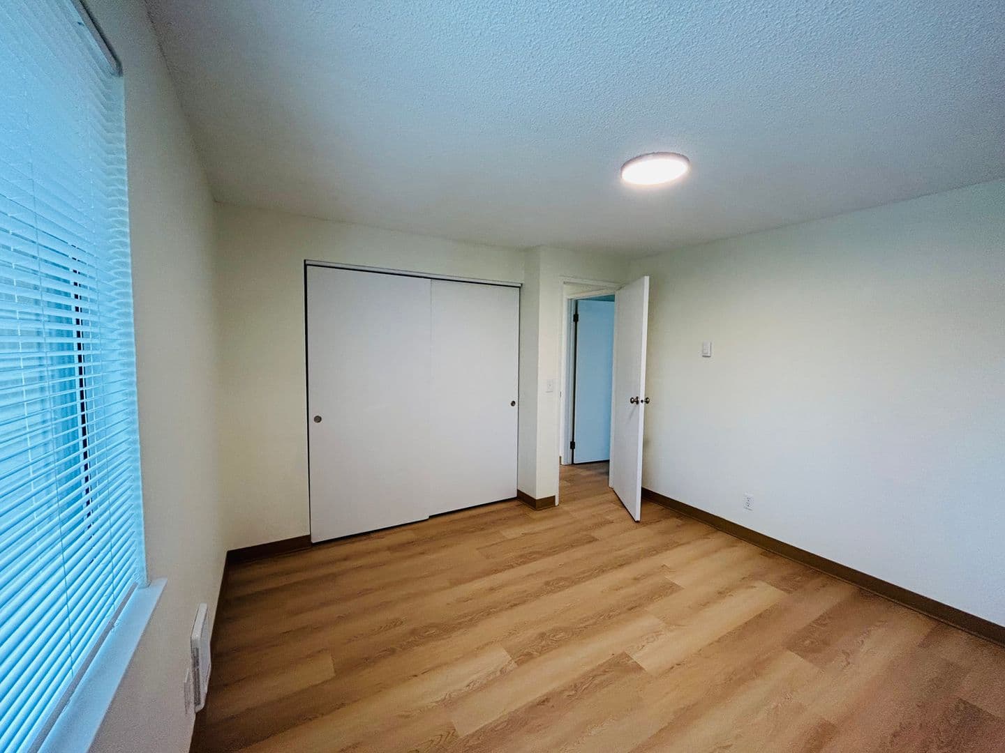 Bellingham Apartment: 1456 Lincoln St