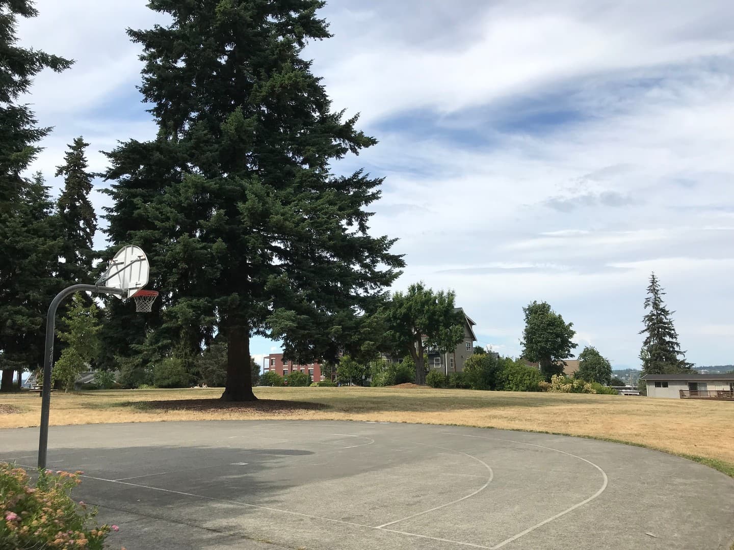 Bellingham Apartment: 911 Billy Frank Jr St