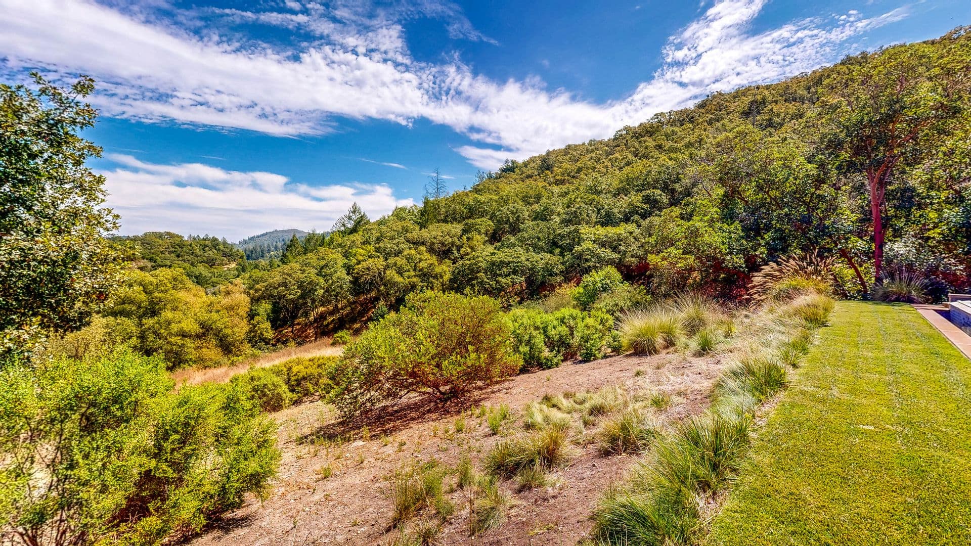 Santa Rosa House: 812 Leslie Creek Lane