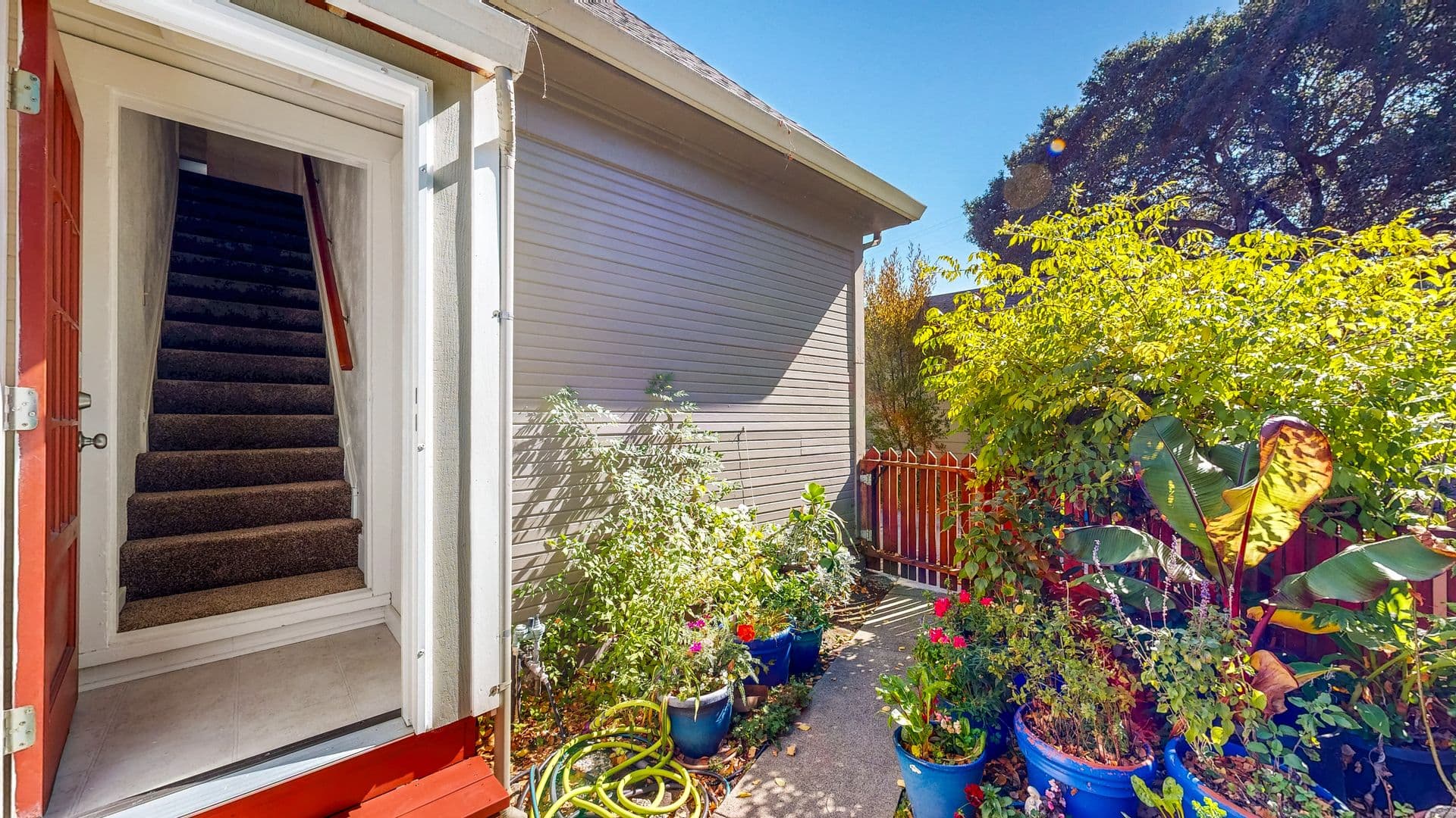 Petaluma Apartment: 407 Kentucky St.