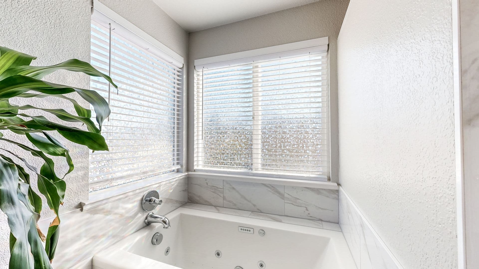 Windsor House: 8112 Luisa Way