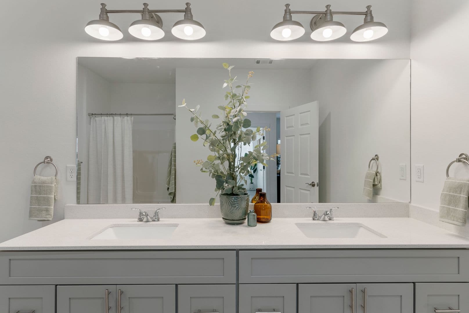 Springdale Apartment: 1510 Powell Street