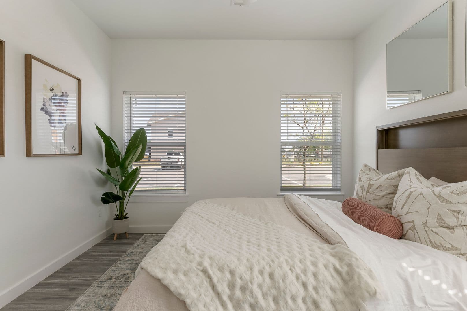 Springdale Apartment: 1510 Powell Street
