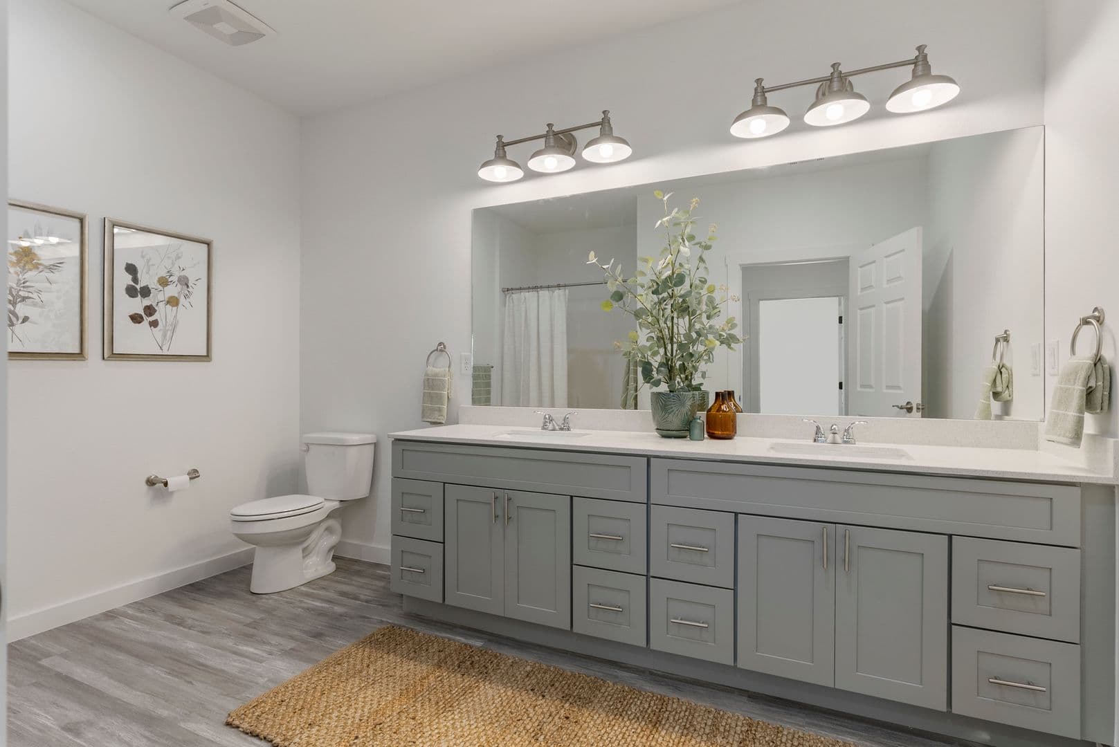 Springdale Apartment: 1510 Powell Street