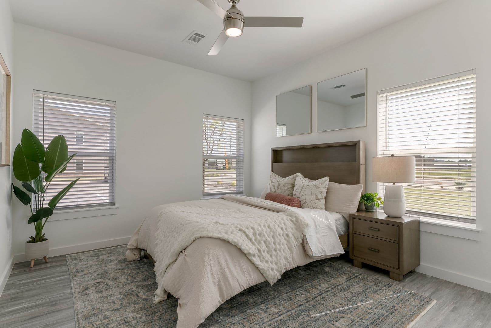 Springdale Apartment: 1510 Powell Street