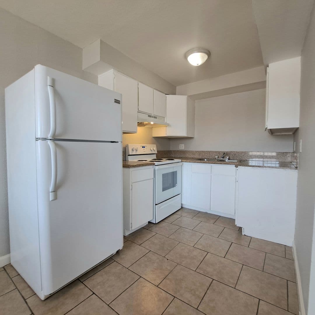 Las Vegas Apartment: 217 W Chicago Avenue