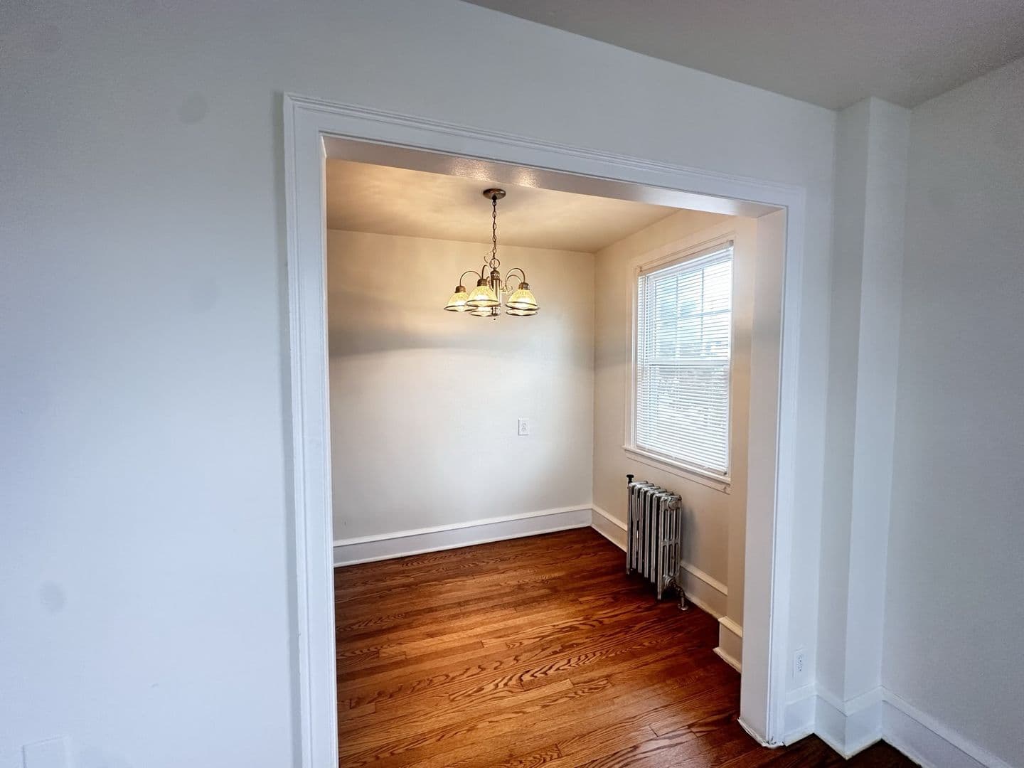 Upper Darby Apartment: 7246 Hazel Avenue