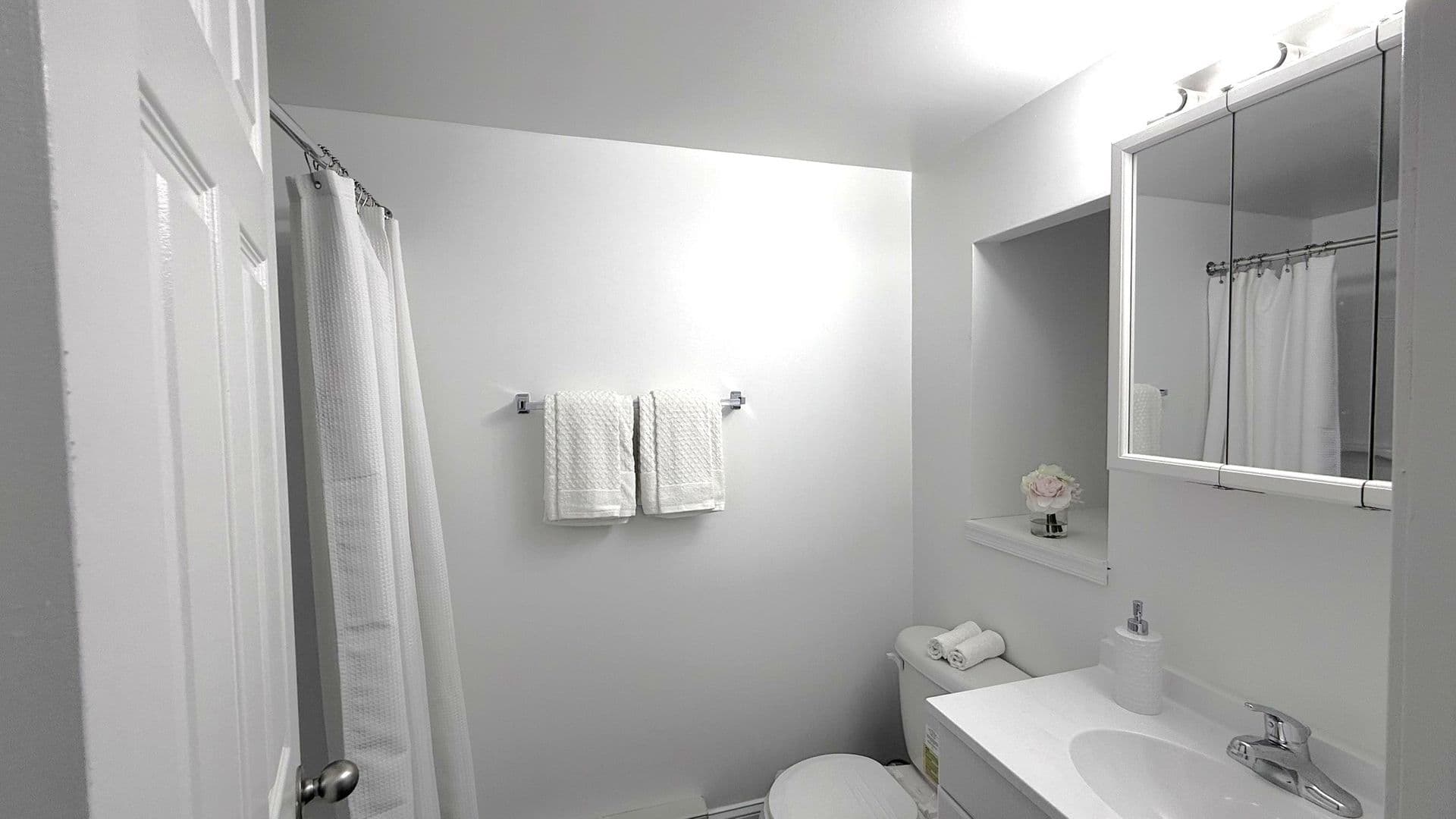 Bridgeport Apartment: 330 W 3rd Street