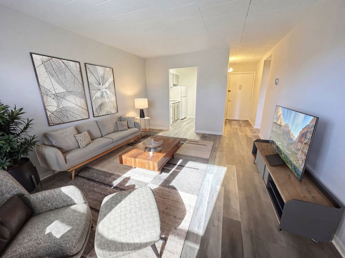 Clifton Heights Apartment: 1 Jefferson Street