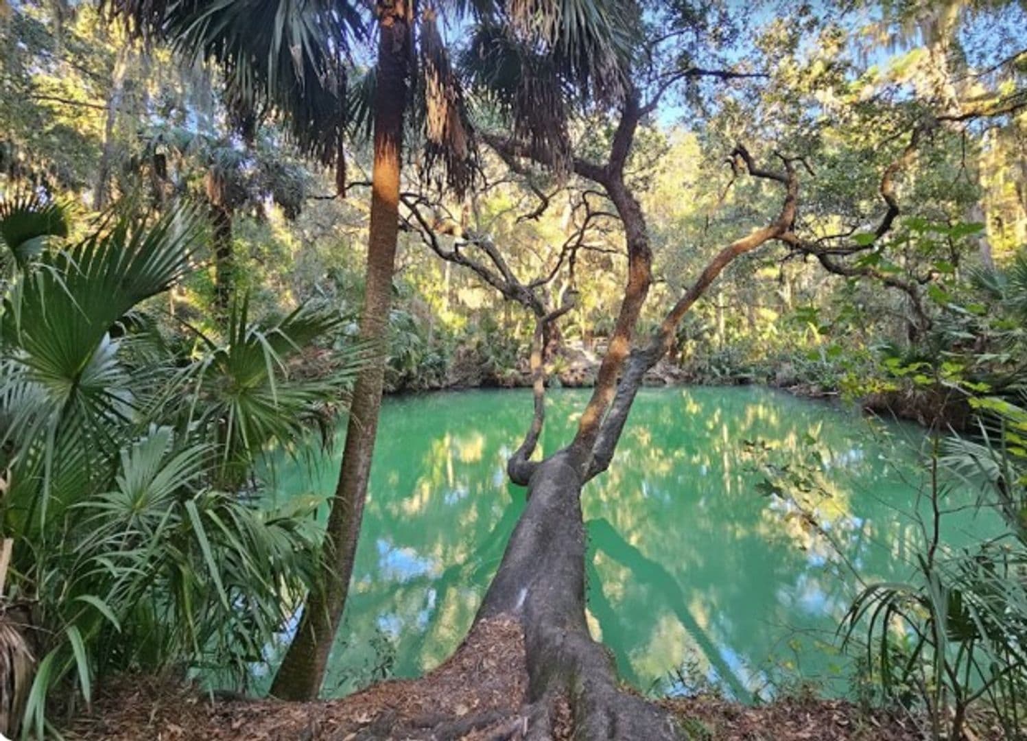 DELTONA Condo: 130 JASMINE WOODS CT.