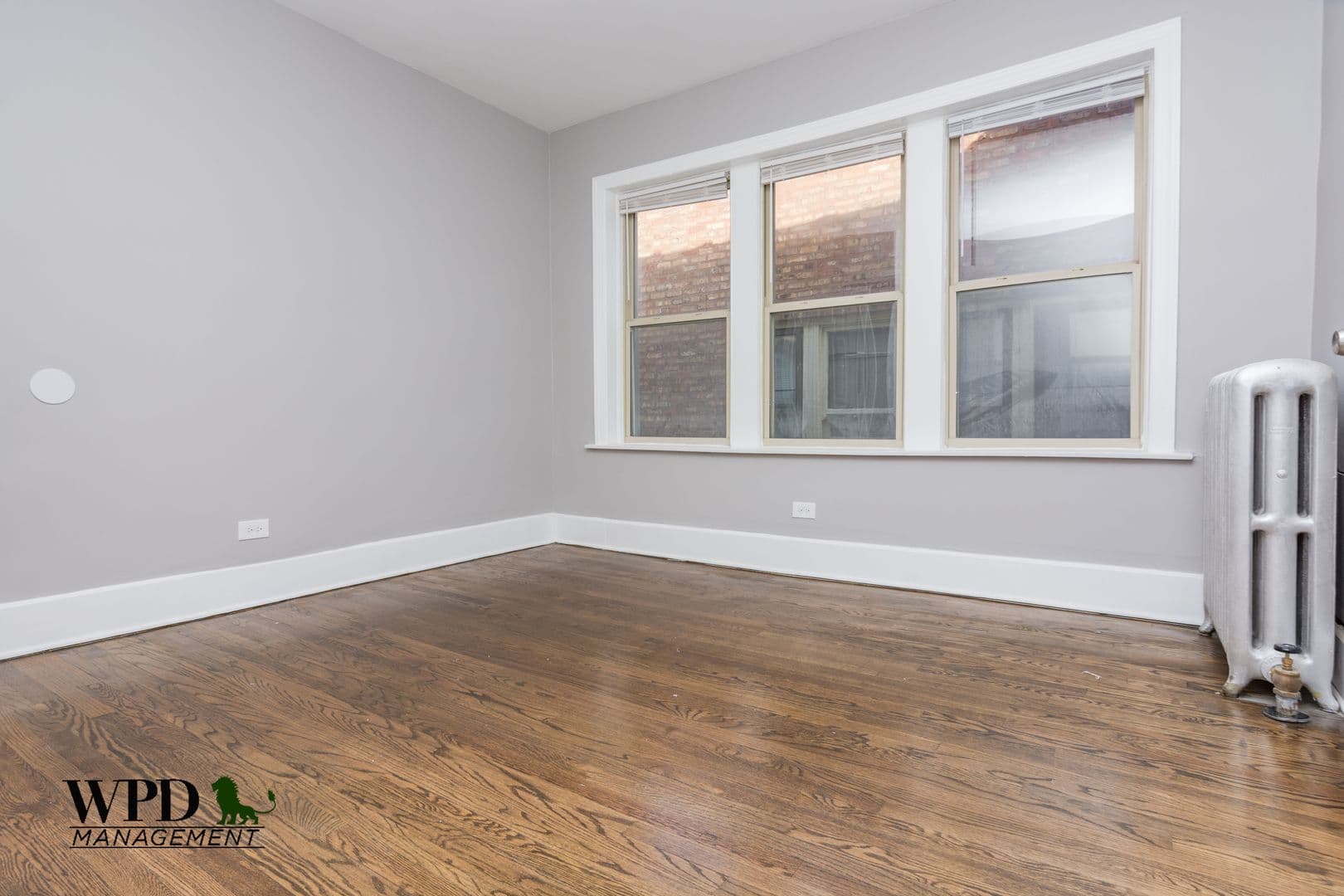 Chicago Apartment: 8056 S. Marshfield Ave