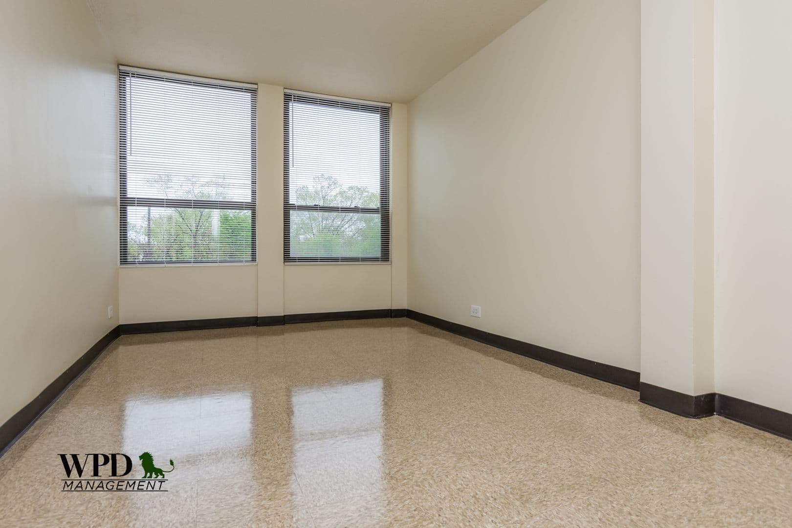 Chicago Apartment: 6531 S. Lowe Ave
