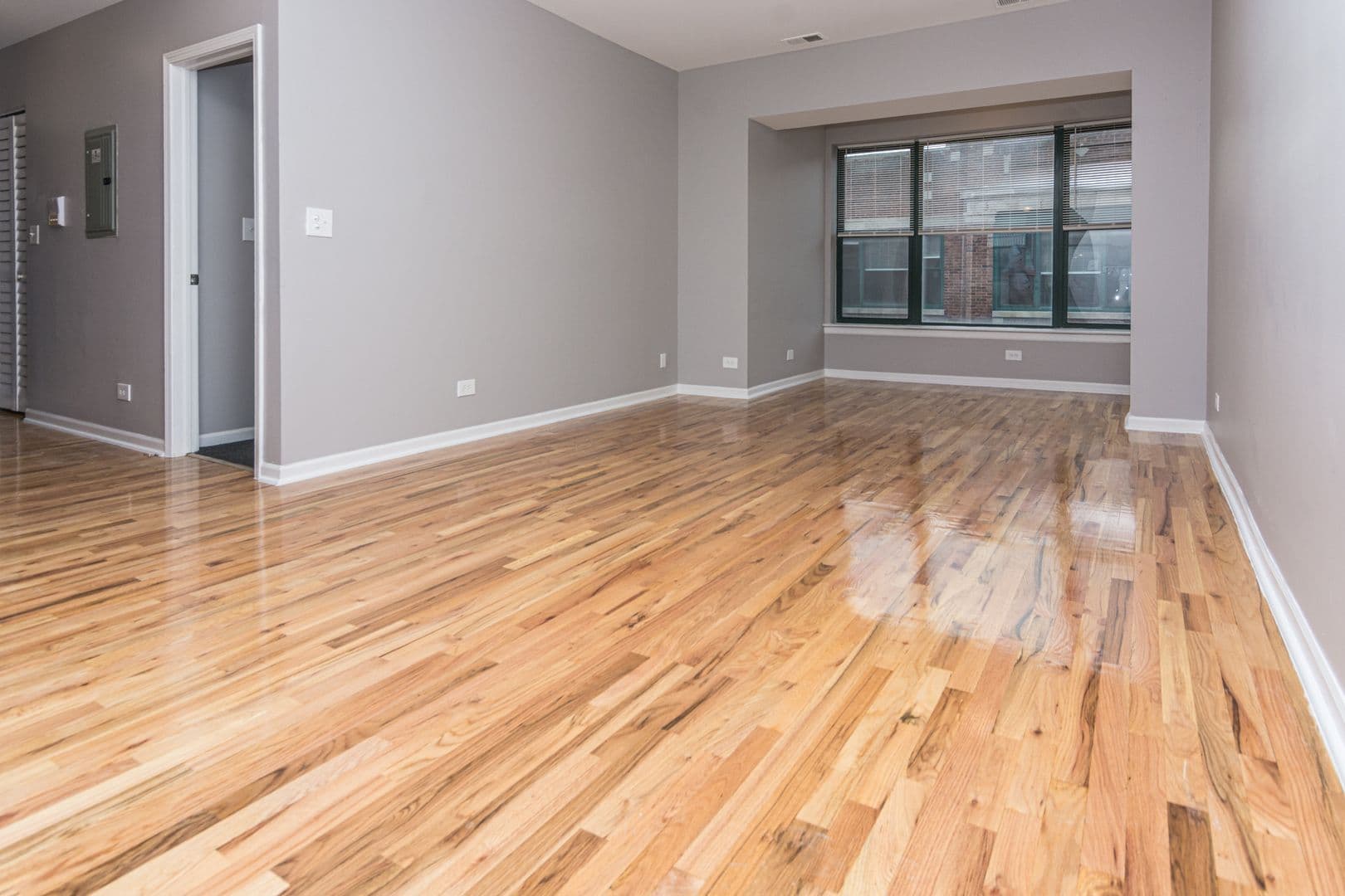 Chicago Apartment: 6125 S Indiana Ave