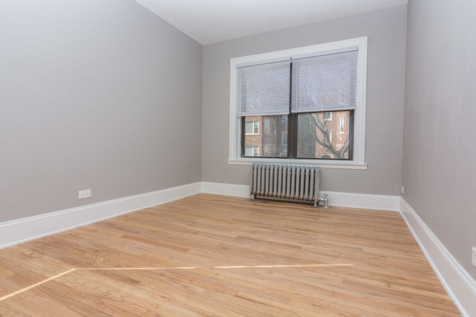 Chicago Apartment: 8209 S Ellis Avenue