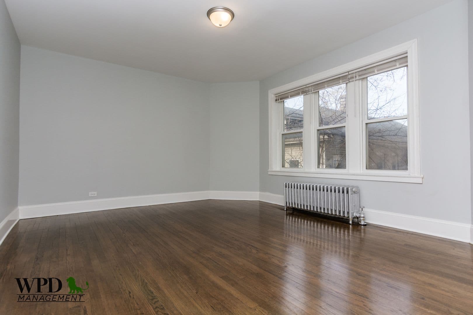Chicago Apartment: 7431 S Eggleston Ave