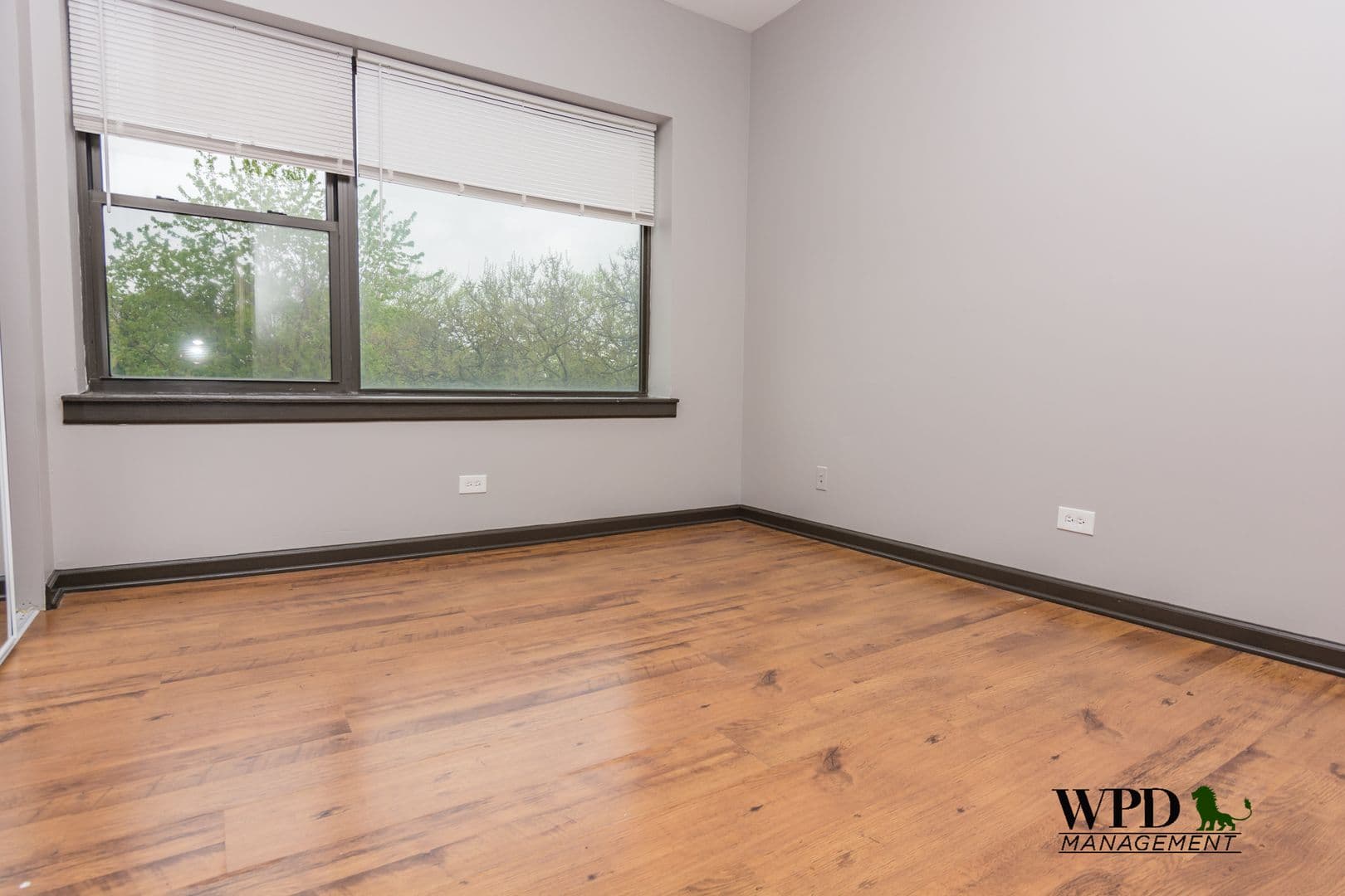 Chicago Apartment: 7844 S. Ellis Ave