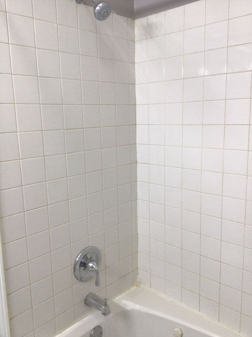 Chicago Apartment: 7020 S Cregier Ave