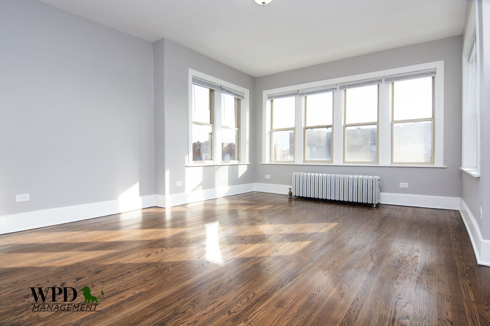 Chicago Apartment: 8056 S. Marshfield Ave