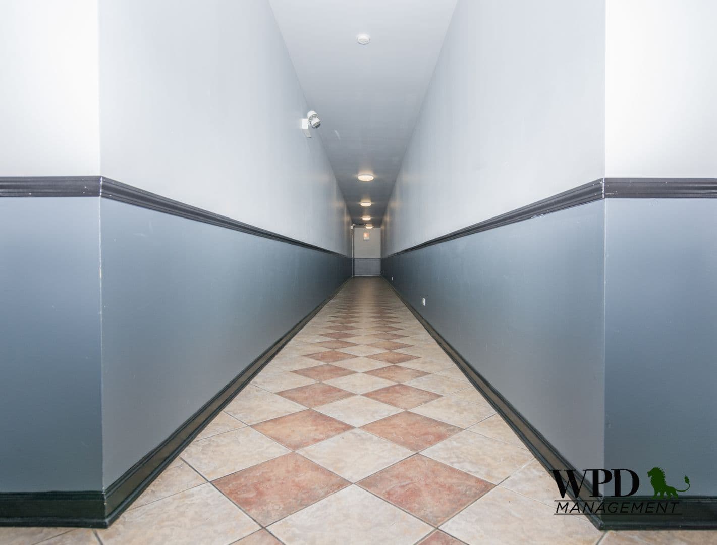 Chicago Apartment: 7844 S. Ellis Ave