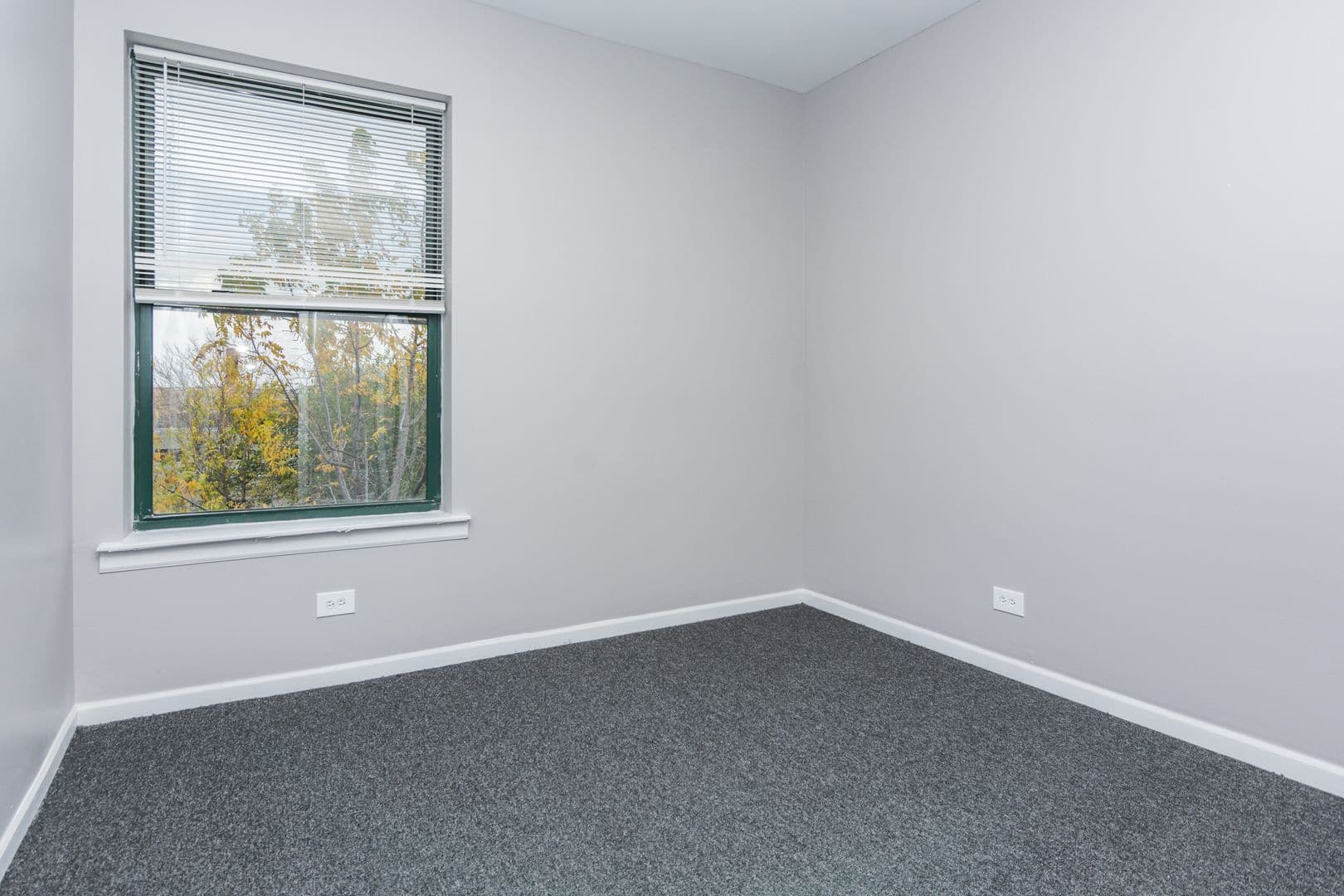 Chicago Apartment: 6125 S Indiana Ave