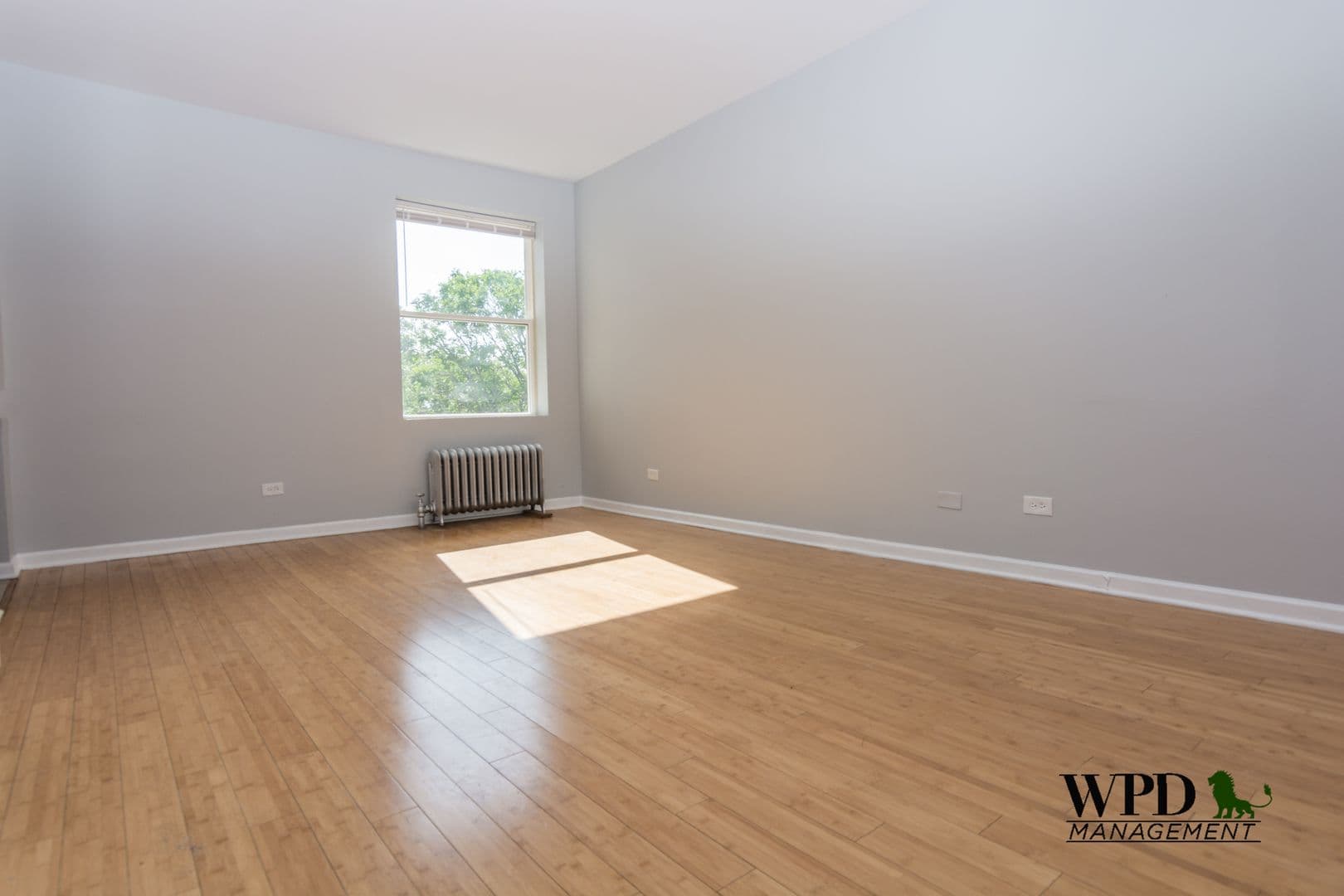 Chicago Apartment: 7801 S. Paulina St