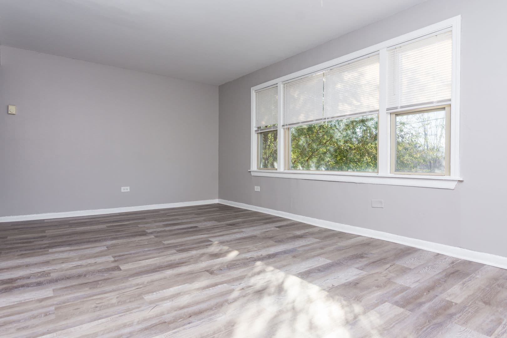 Chicago Apartment: 8213 S Exchange Ave