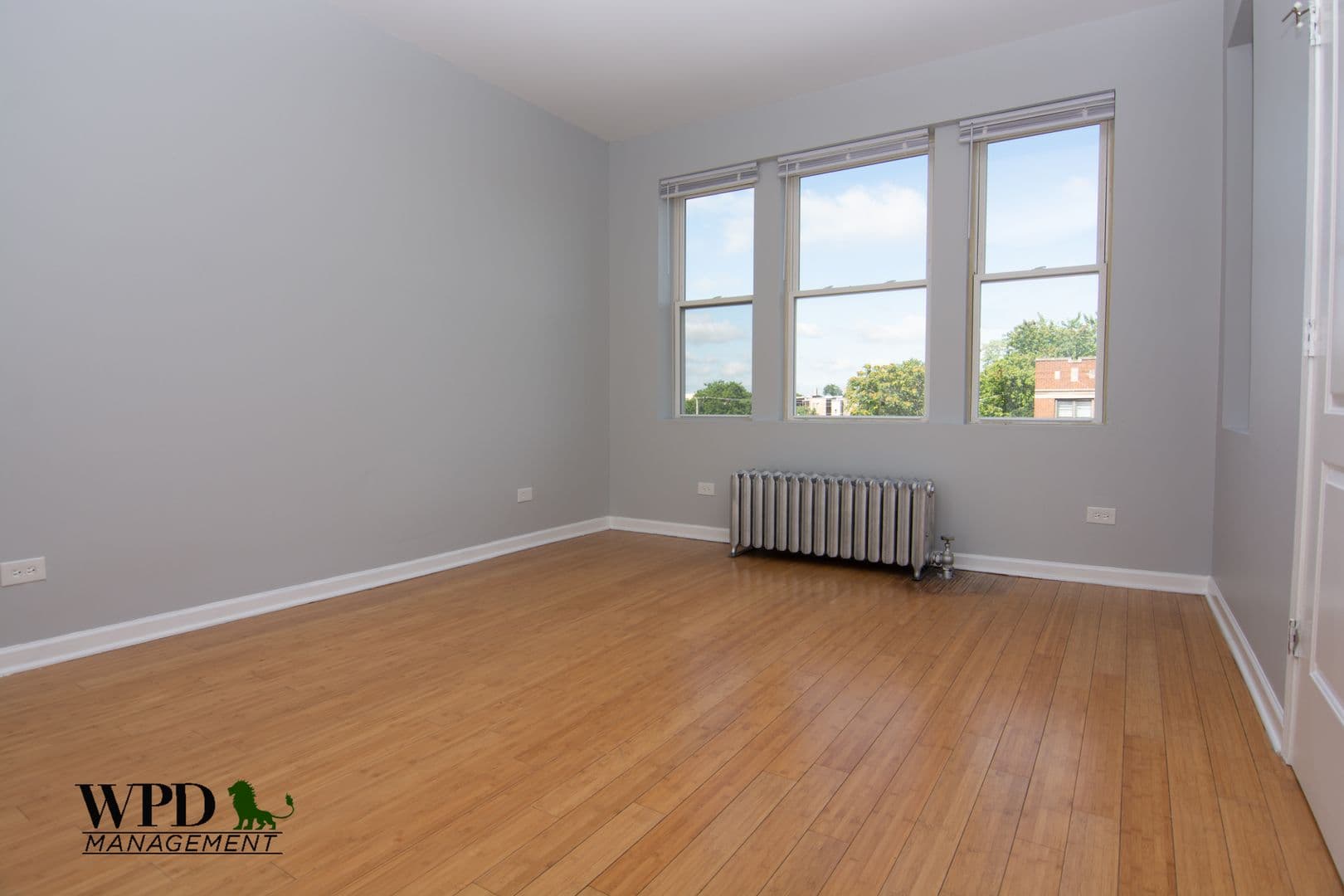 Chicago Apartment: 7801 S. Paulina St