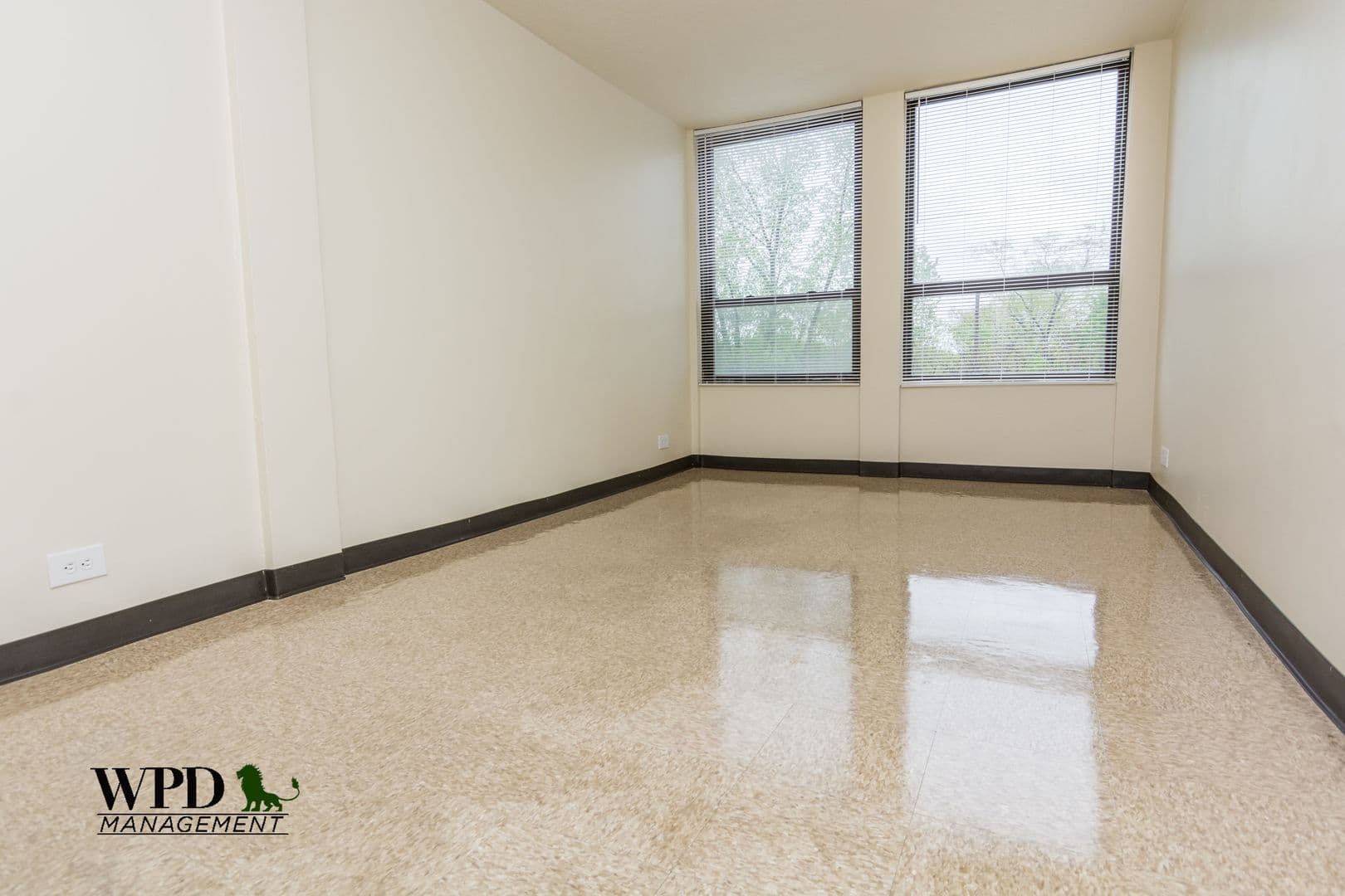 Chicago Apartment: 6531 S. Lowe Ave