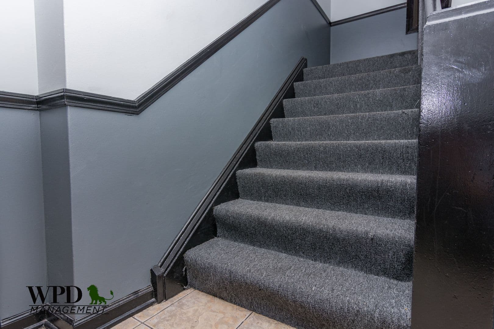 Chicago Apartment: 7844 S. Ellis Ave