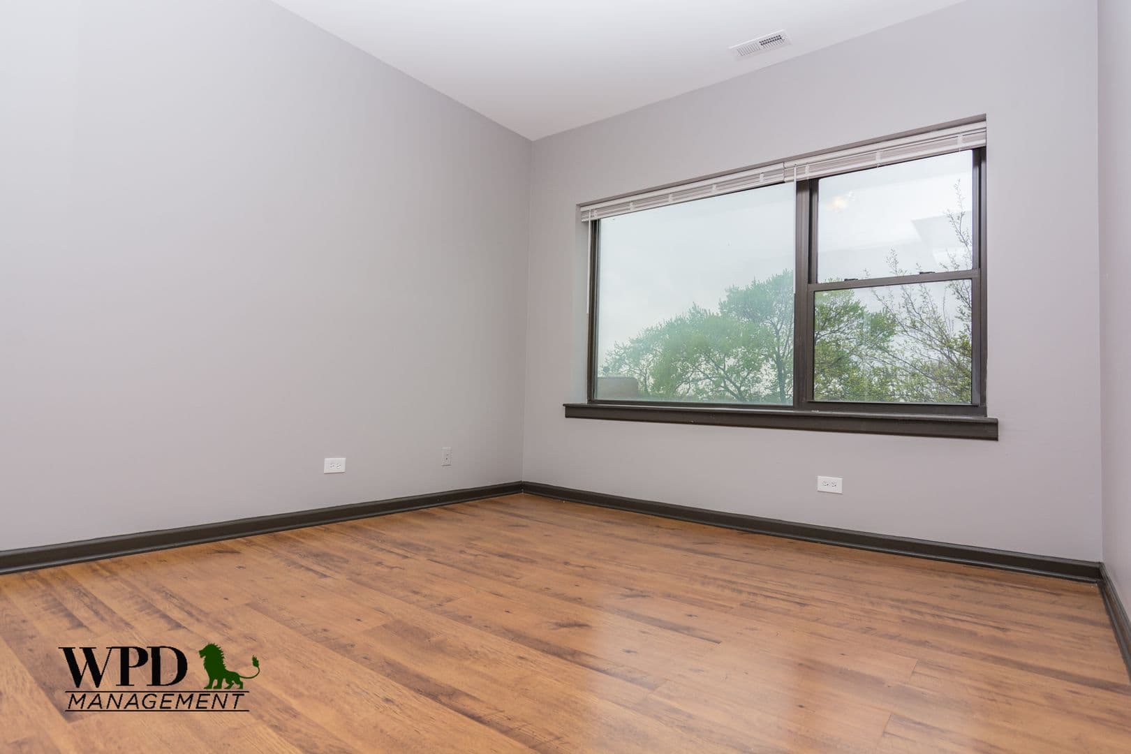 Chicago Apartment: 7844 S. Ellis Ave