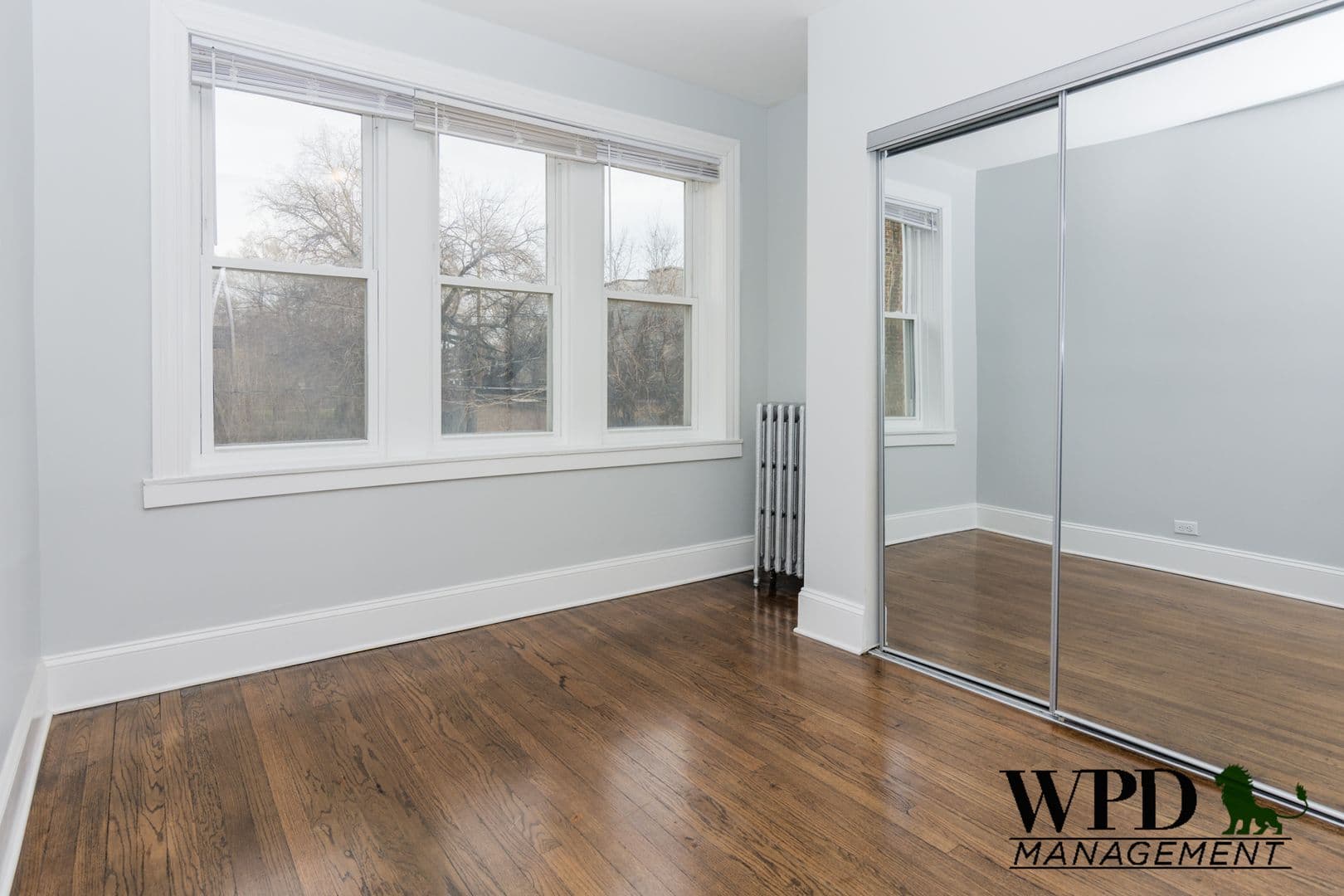 Chicago Apartment: 7431 S Eggleston Ave