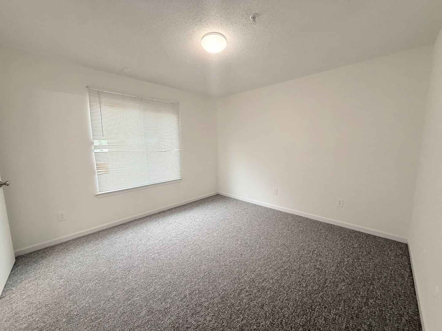 RALEIGH House: 1511-102 GRADUATE LN